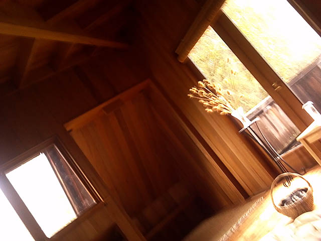 &nbsp;[[ camera view with head tilted right ]]&nbsp;